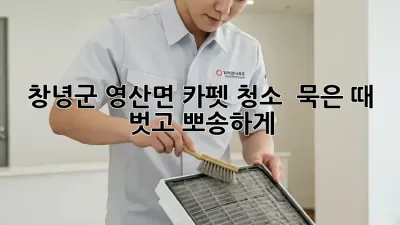창녕군 영산면 카펫 청소, ✨ 묵은 때 벗고 뽀송하게! #